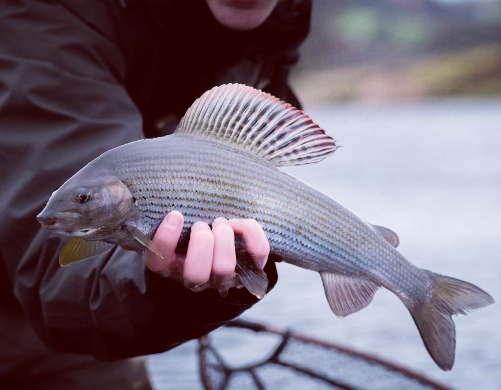 327a150b-a836-4dcc-8825-d27a6e63ae3f copy.jpg